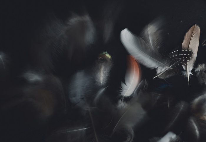 ~ Feather Memory ~ How to Remember Who You Are